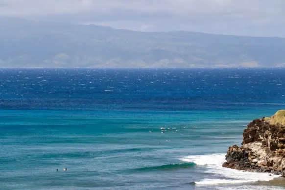 Καζίνο Τωο Φατ Λαδιες Βινγο Υποστηριξη